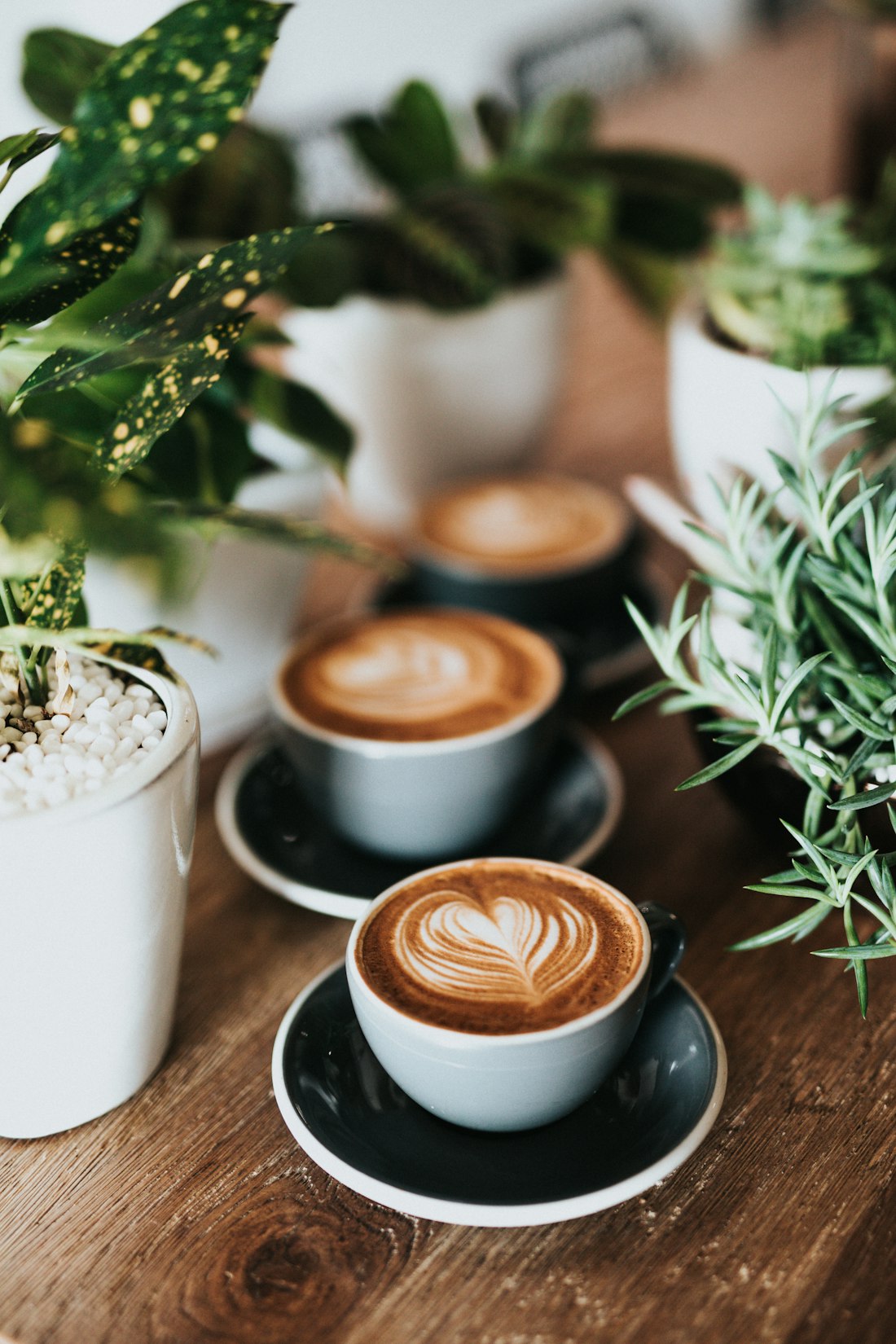 A steaming cup of coffee at Chili Spicy Café